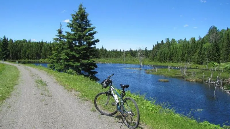 Sentier du Petit Témis traversant la forêt le long du lac